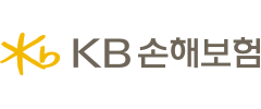 KB손보