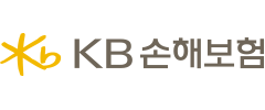 KB손보